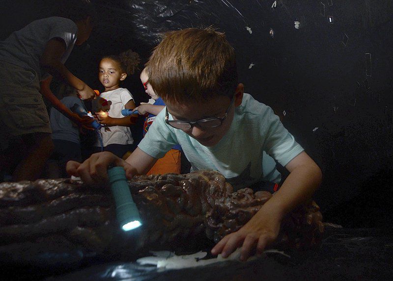 Bats get chance to sound off at festival